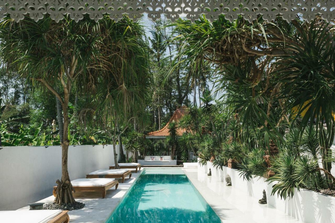 The Seseh House Villa Canggu Eksteriør billede