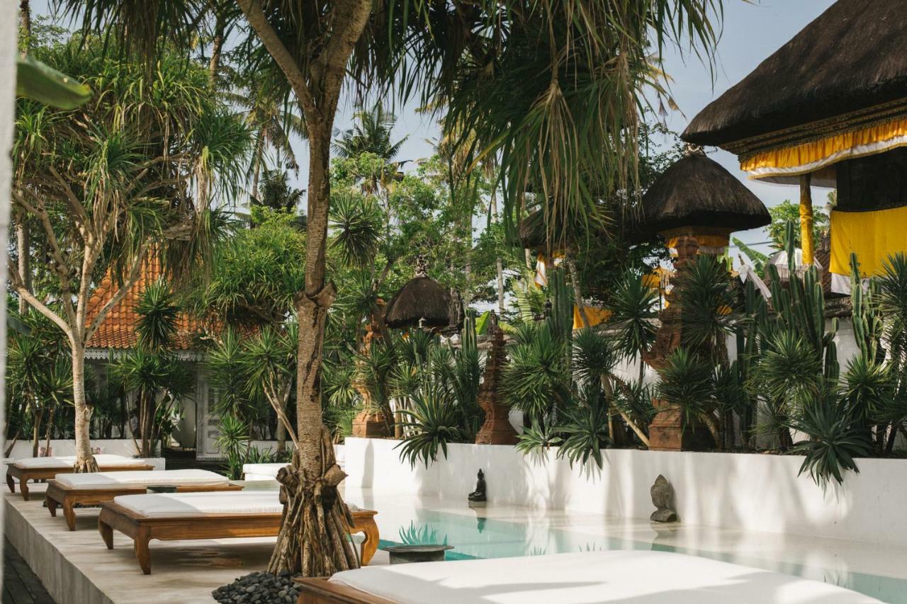 The Seseh House Villa Canggu Eksteriør billede