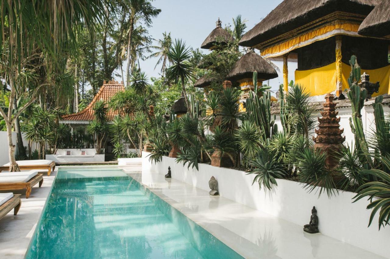 The Seseh House Villa Canggu Eksteriør billede